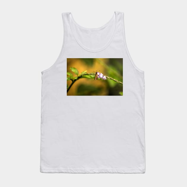 oli Butterfly feckle Tank Top by pcfyi